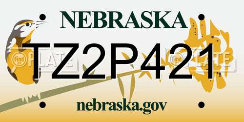 TZ2P421 Nebraska License Plate