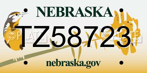 TZ58723 Nebraska License Plate