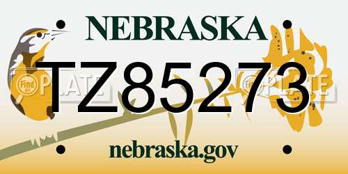 TZ85273 Nebraska License Plate