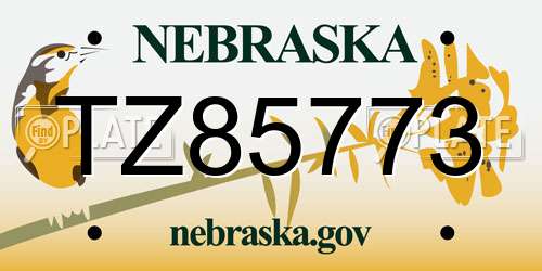 TZ85773 Nebraska License Plate