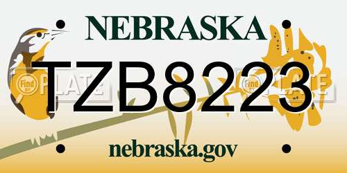 TZB8223 Nebraska License Plate