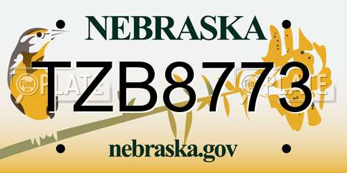 TZB8773 Nebraska License Plate
