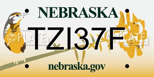 TZI37F Nebraska License Plate