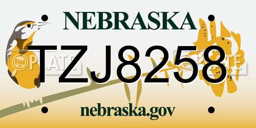 TZJ8258 Nebraska License Plate