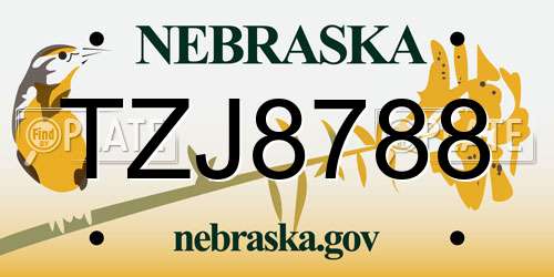 TZJ8788 Nebraska License Plate
