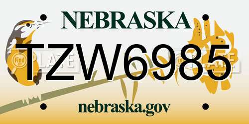 TZW6985 Nebraska License Plate