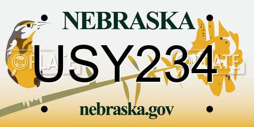 USY234 Nebraska License Plate