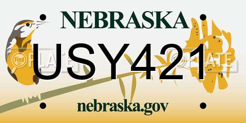 USY421 Nebraska License Plate