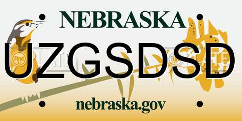 UZGSDSD Nebraska License Plate