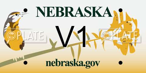V1 Nebraska License Plate