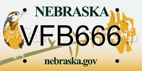 VFB666 Nebraska License Plate