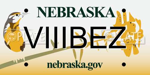 VIIIBEZ Nebraska License Plate