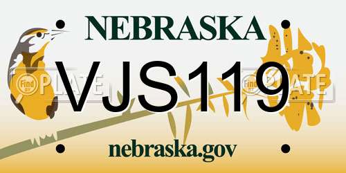 VJS119 Nebraska License Plate