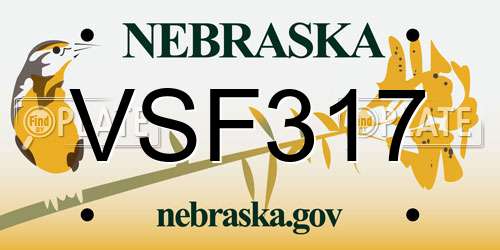 VSF317 Nebraska License Plate