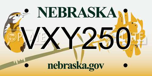 VXY250 Nebraska License Plate
