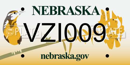 VZI009 Nebraska License Plate