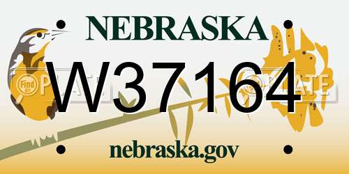 W37164 Nebraska License Plate