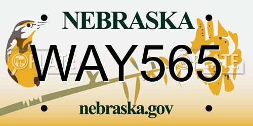 WAY565 Nebraska License Plate