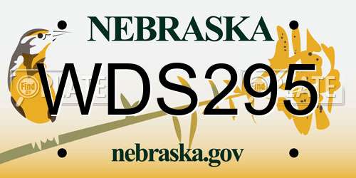 WDS295 Nebraska License Plate