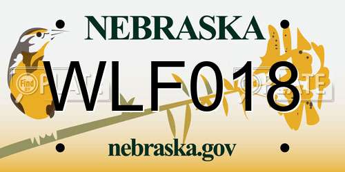 WLF018 Nebraska License Plate