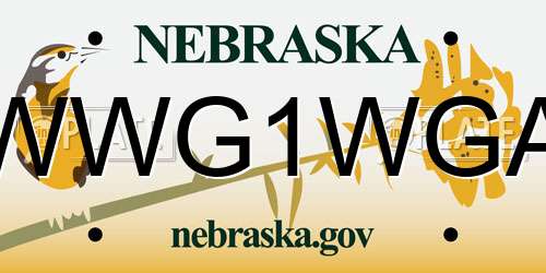 WWG1WGA Nebraska License Plate