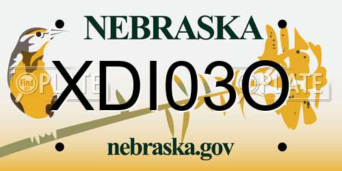 XDI03O Nebraska License Plate
