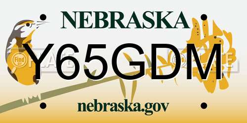 Y65GDM Nebraska License Plate