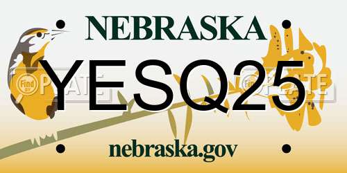 YESQ25 Nebraska License Plate