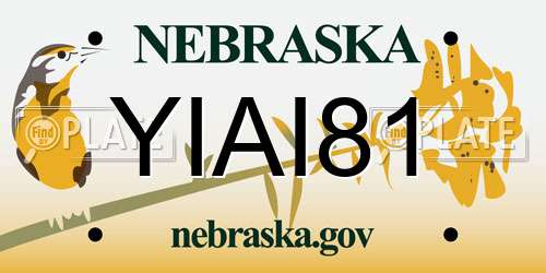 YIAI81 Nebraska License Plate