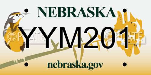 YYM201 Nebraska License Plate