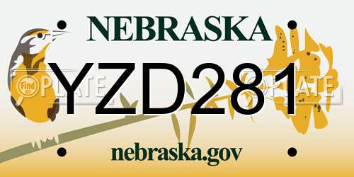 YZD281 Nebraska License Plate