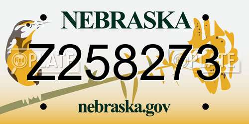 Z258273 Nebraska License Plate