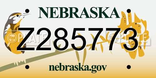 Z285773 Nebraska License Plate