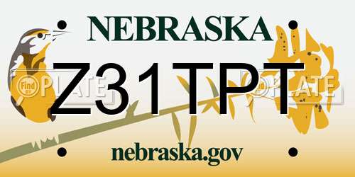 Z31TPT Nebraska License Plate