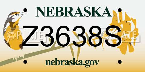 Z3638S Nebraska License Plate
