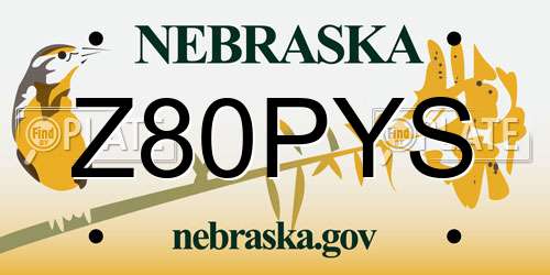 Z80PYS Nebraska License Plate