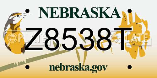 Z8538T Nebraska License Plate