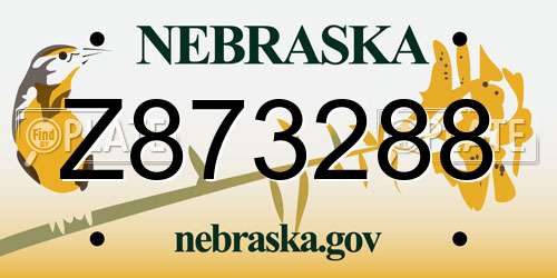 Z873288 Nebraska License Plate