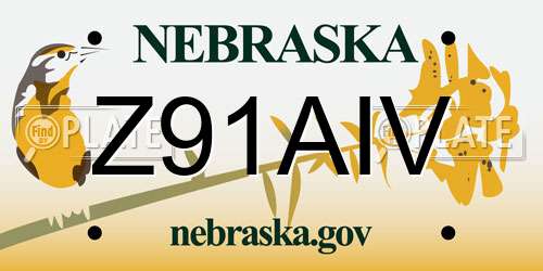 Z91AIV Nebraska License Plate