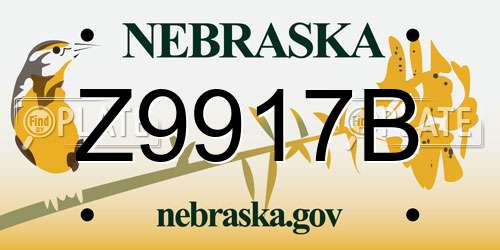 Z9917B Nebraska License Plate