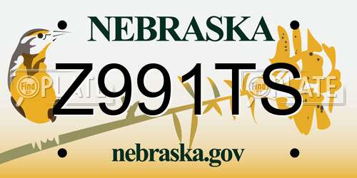 Z991TS Nebraska License Plate