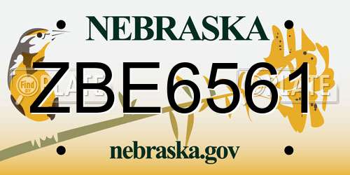 ZBE6561 Nebraska License Plate