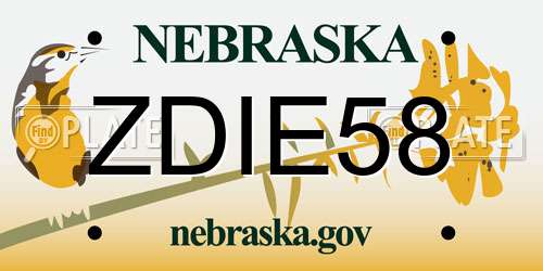 ZDIE58 Nebraska License Plate