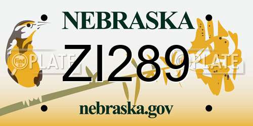 ZI289 Nebraska License Plate