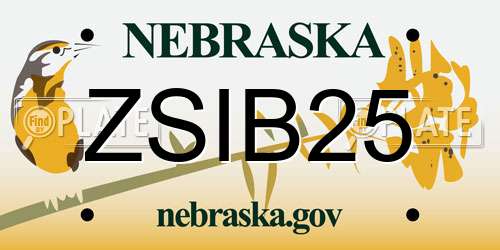 ZSIB25 Nebraska License Plate
