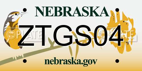 ZTGS04 Nebraska License Plate