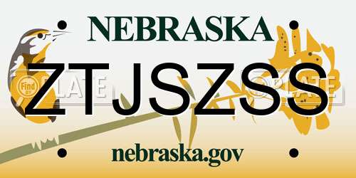 ZTJSZSS Nebraska License Plate