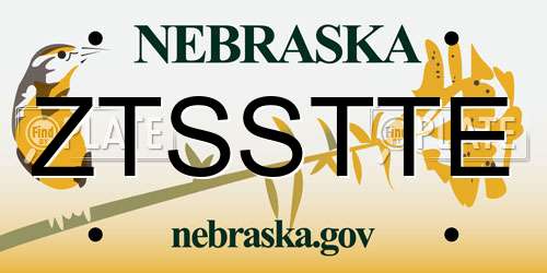 ZTSSTTE Nebraska License Plate
