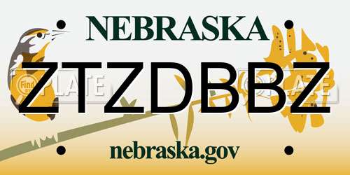 ZTZDBBZ Nebraska License Plate