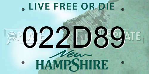 022D89 New Hampshire License Plate